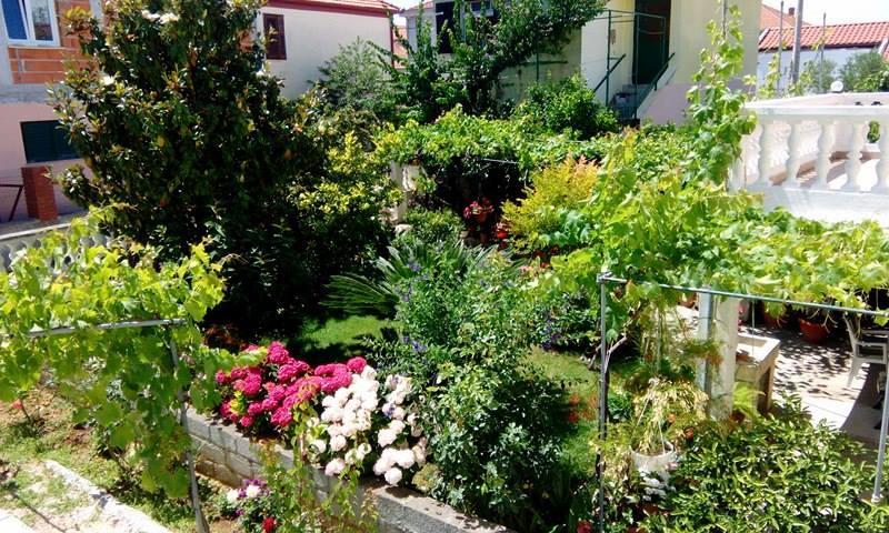 Apartment Matovina 扎达尔 外观 照片